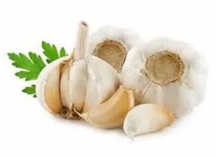 Methods for treating nail fungus with garlic